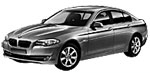 BMW F10 P333C Fault Code